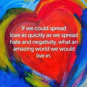 Meet your Posher, Rachel starr